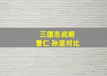 三国志战略 曹仁 孙坚对比